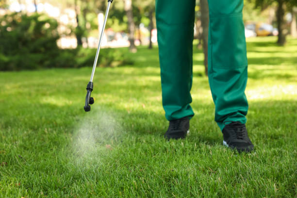 Professional Pest Control in Bolingbrook, IL