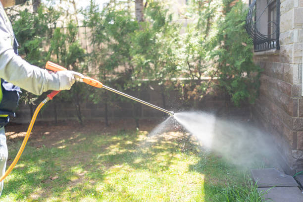 Pest Prevention Services in Bolingbrook, IL